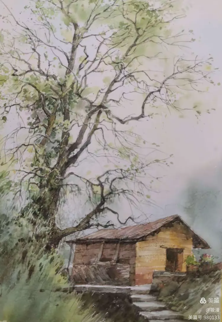 金陵老年大学水彩班查济采风写生实录